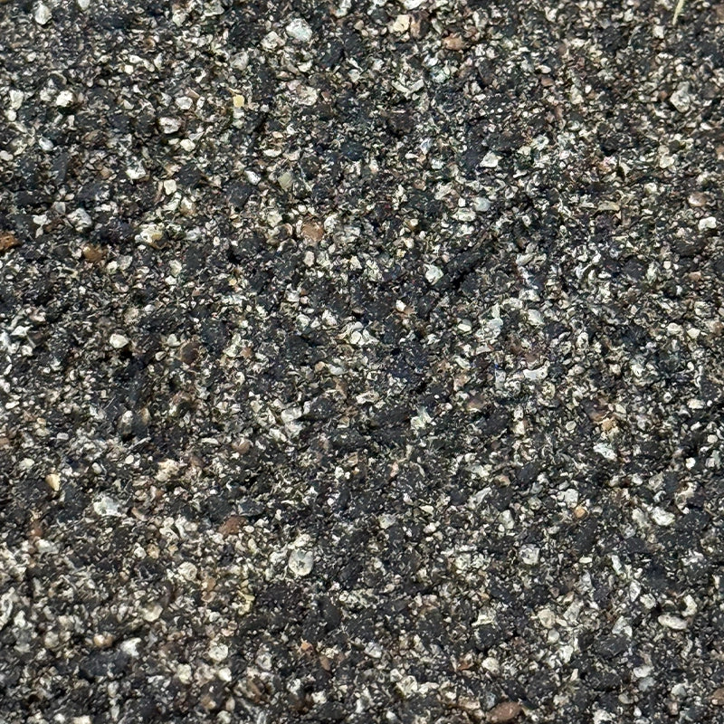 Nigelle - Cumin Noir (Poudre)