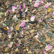 Infusion de Noël Yogi Chai BIO