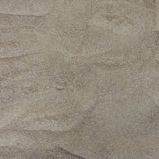 Amla pure - Ayurvédique (Poudre)