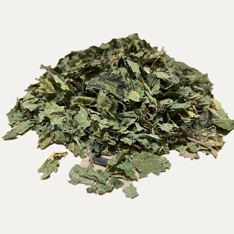 Ortie piquante feuilles BIO (Tisane en vrac)