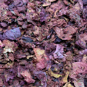 Coquelicot pétales BIO (Tisane en vrac)