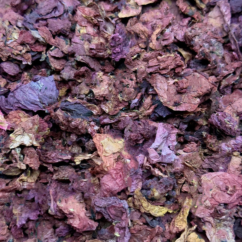 Coquelicot pétales BIO (Tisane en vrac)