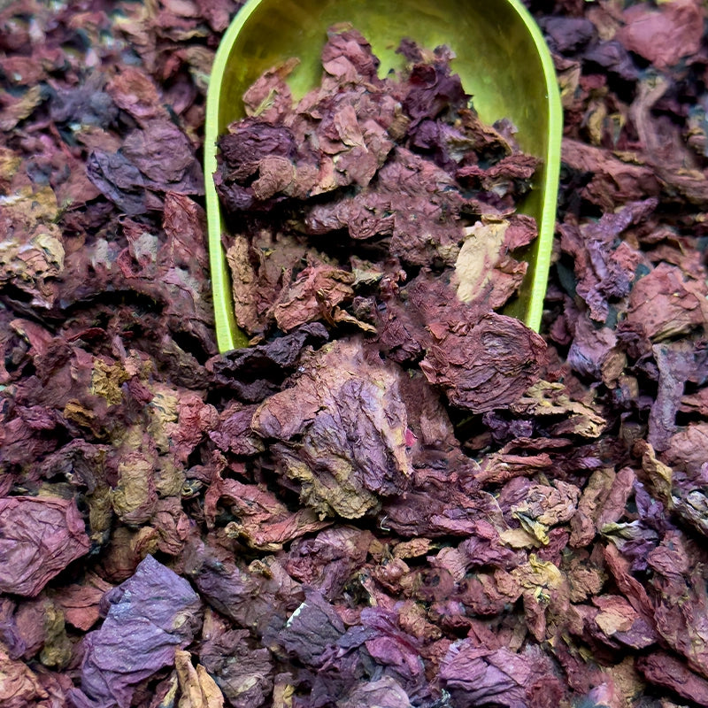 Coquelicot pétales BIO (Tisane en vrac)
