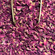Rose Rouge du Pakistan pétales (Tisane en vrac)