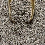 Anis vert graines BIO (Tisane en vrac)