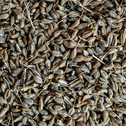 Anis vert graines BIO (Tisane en vrac)