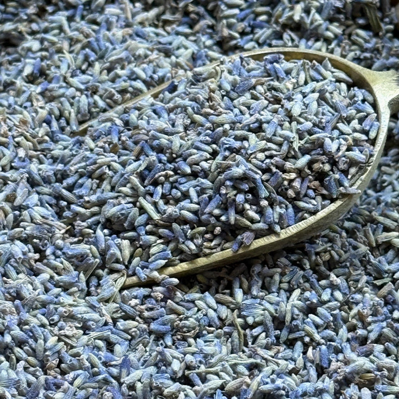 Lavande fleurs (Tisane en vrac)
