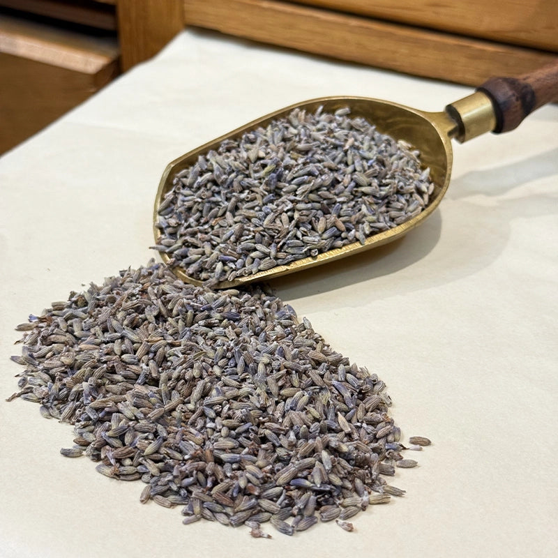 Lavande fleurs BIO (Tisane en vrac)