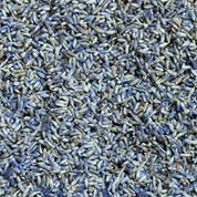 Lavande fleurs (Tisane en vrac)