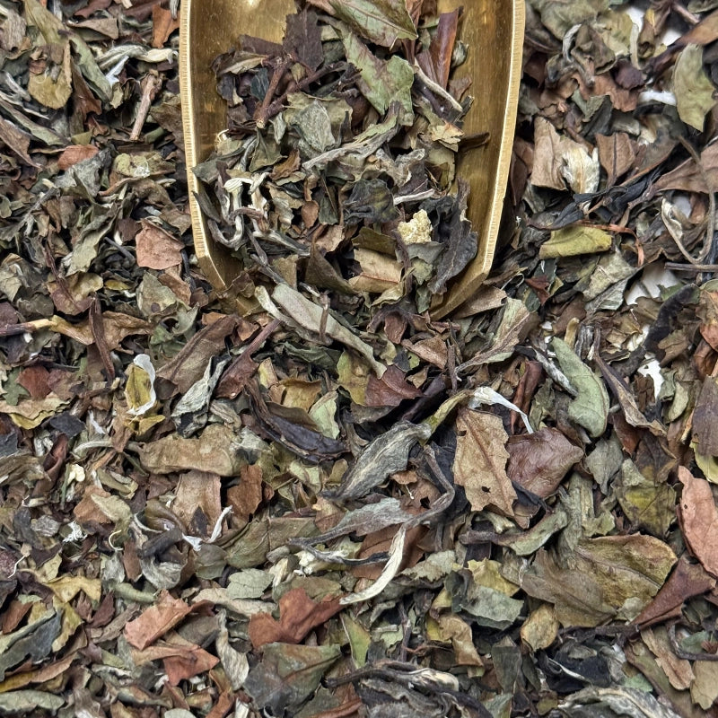 hm-the-blanc-Earl-Grey-1.webp