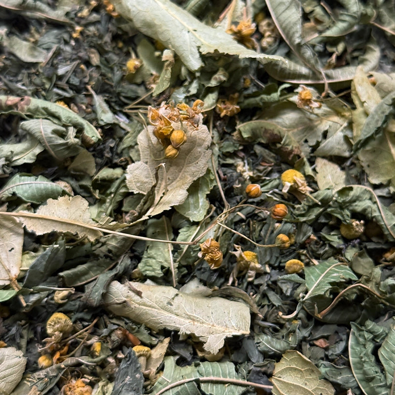 hm-tisane-Bonheur.webp