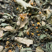 Tisane du Bonheur