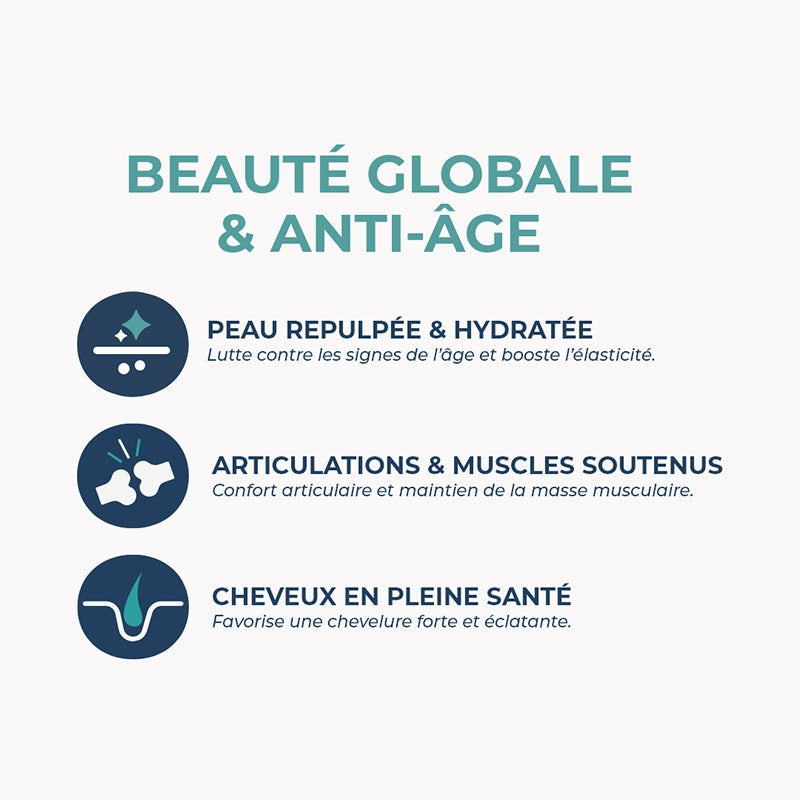 Collagène Marin (Poudre)