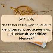 Dentifrices Meswak