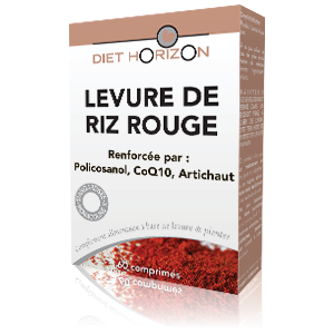 LEVURE DE RIZ ROUGE 600MG AVEC POLICOSANOL, CQ10 ET ARTICHAUT