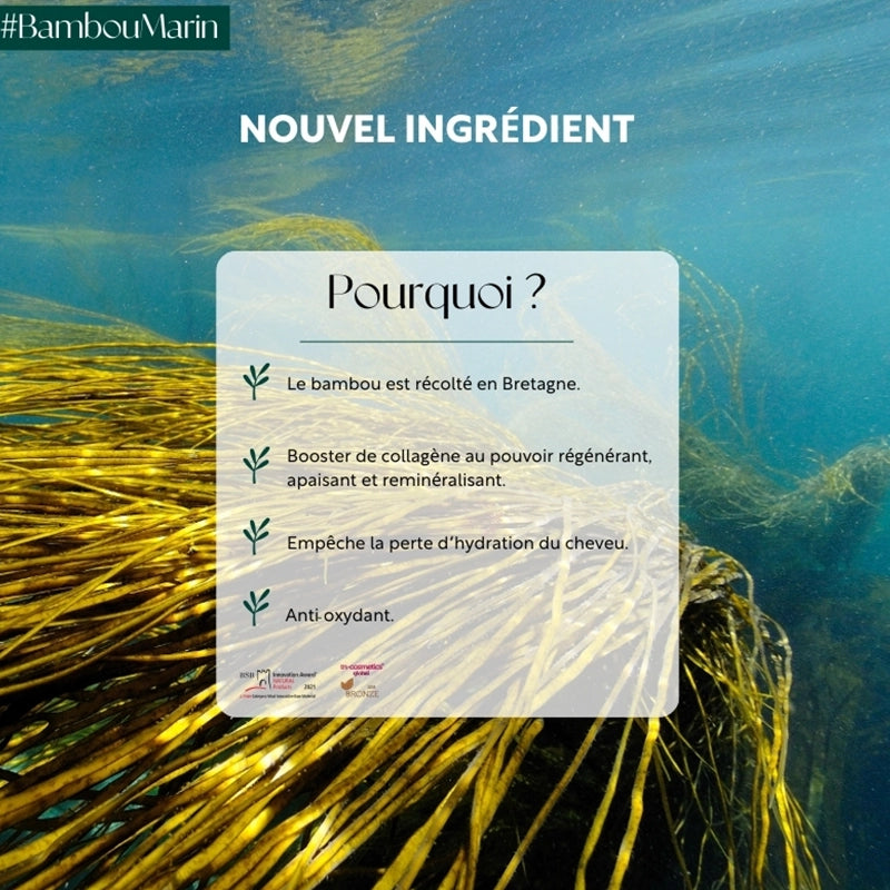 Teinture aux plantes Martine Mahé n°2 Châtain Foncé