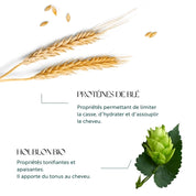 Mousse volumatrice au Houblon