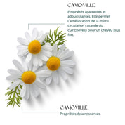 Shampooing à la camomille