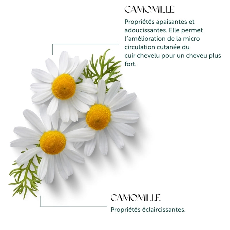 Shampooing à la camomille