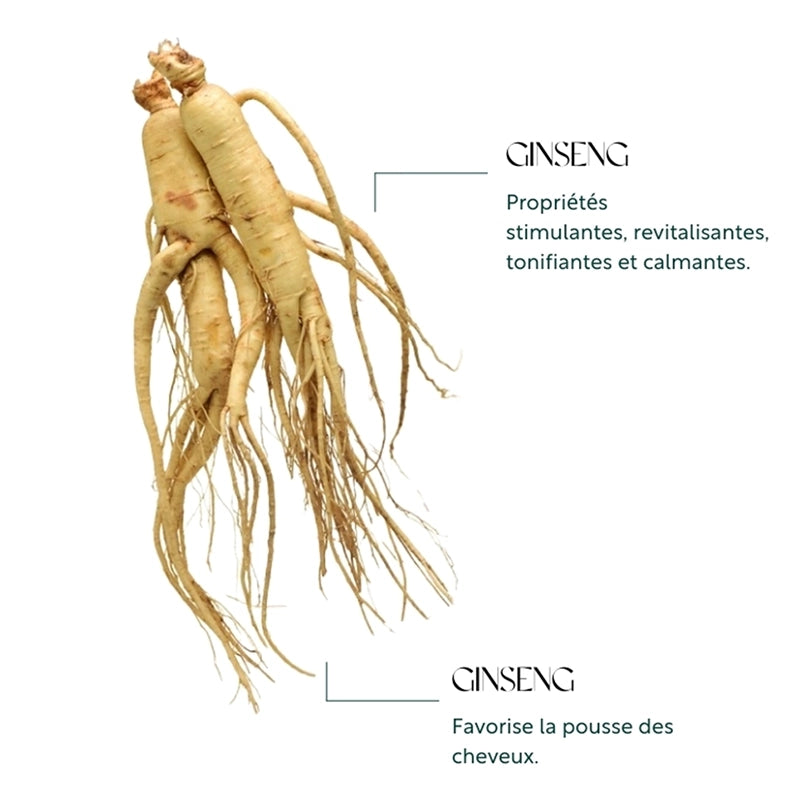 Shampooing tonique au Ginseng