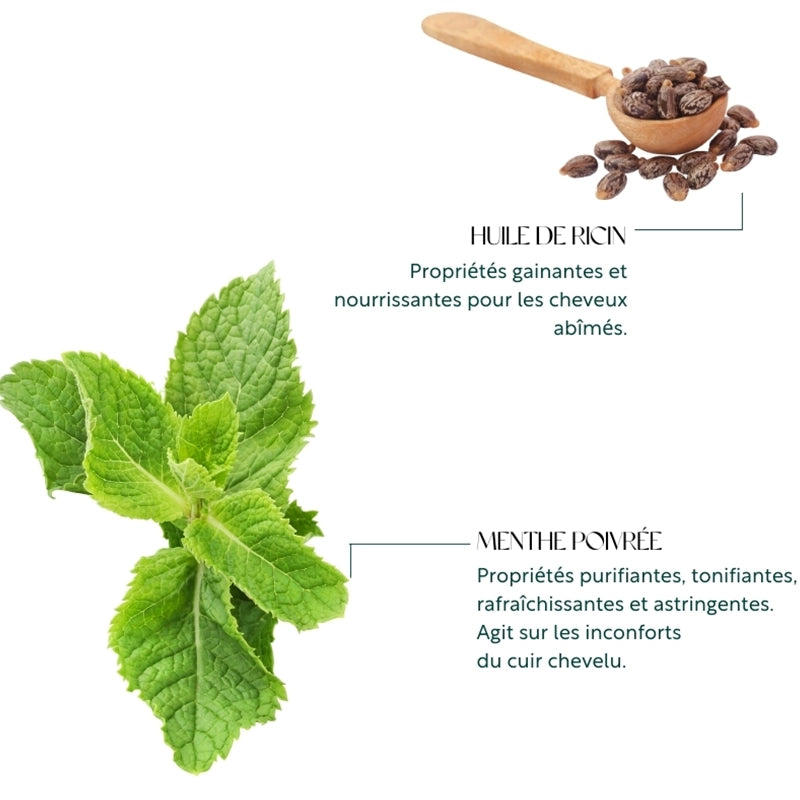 Soin traitant à la Menthe