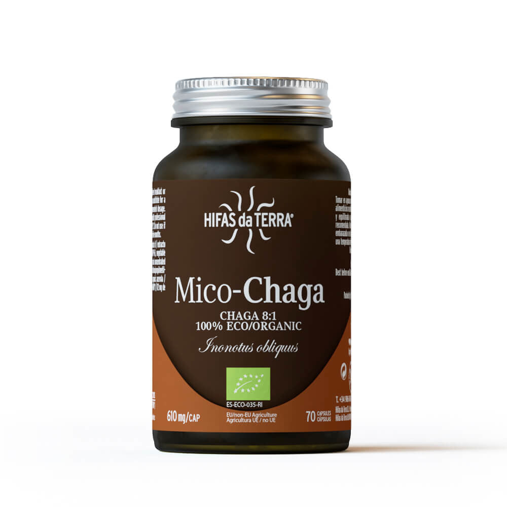 mico-chaga-2024-b.jpg