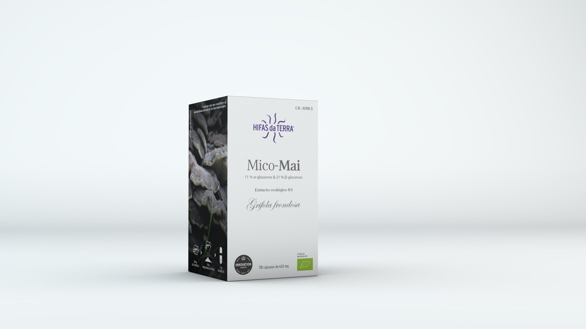 Mico Mai BIO Maitake Grifola frondosa champignon BIO