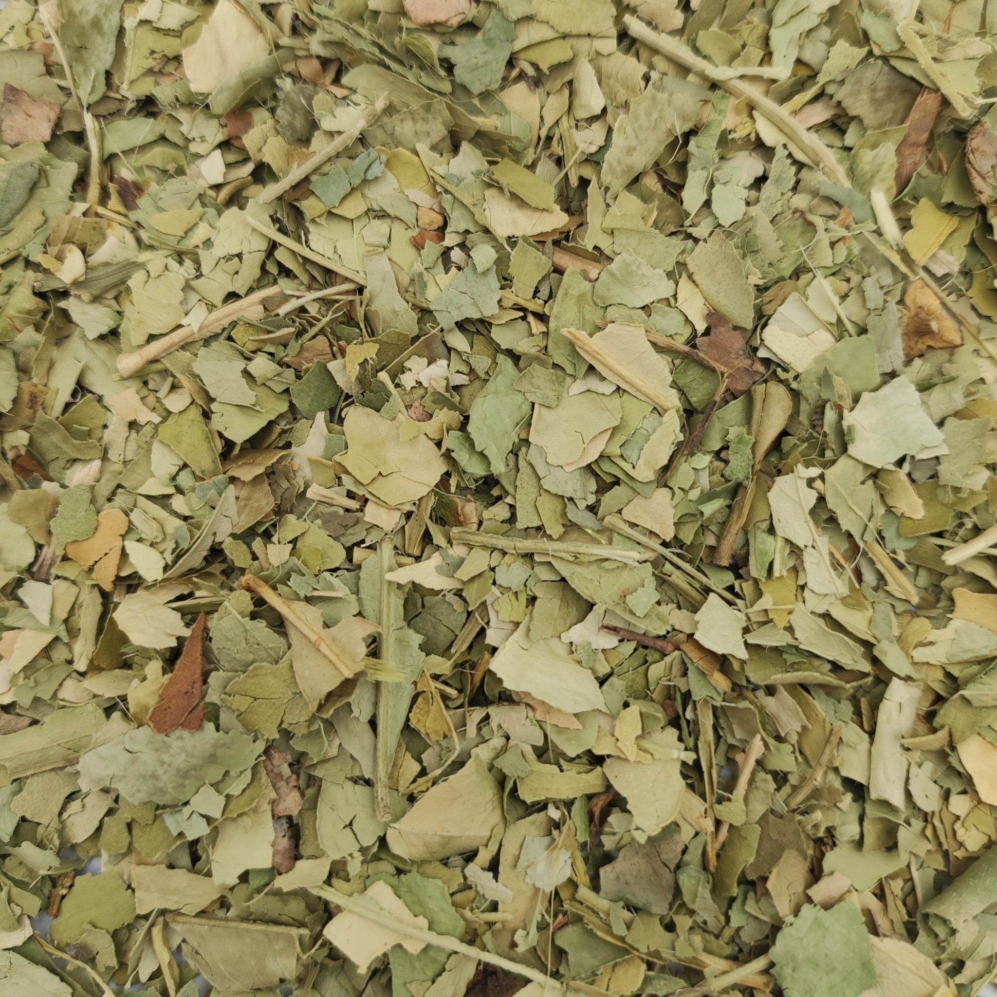 Oranger bigarade Feuilles coupées BIO (Tisane en vrac)