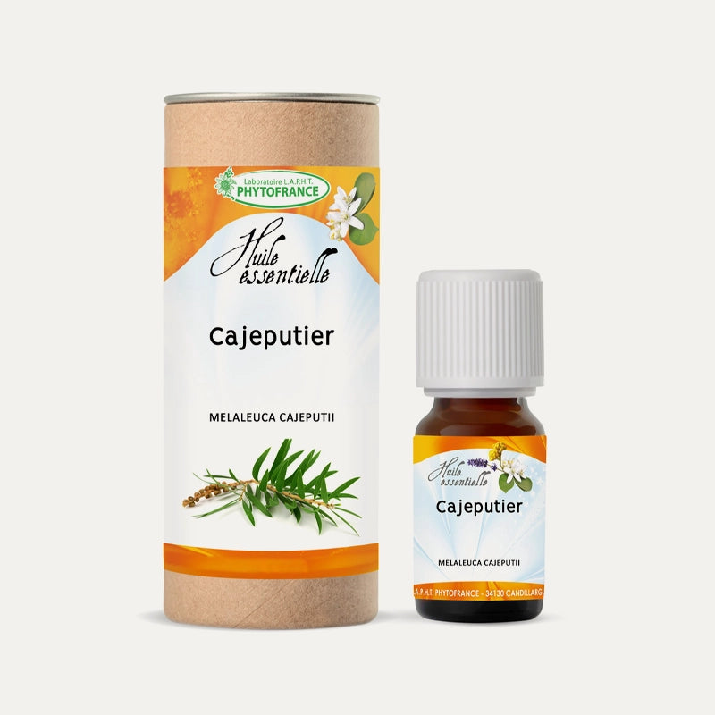 phytofrance-cajeputier.webp