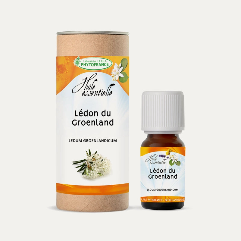 Huile essentielle Lédon du Groenland BIO