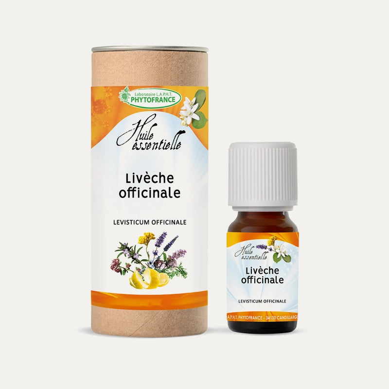 phytofrance-huile-essentielle-liveche-officinale.webp