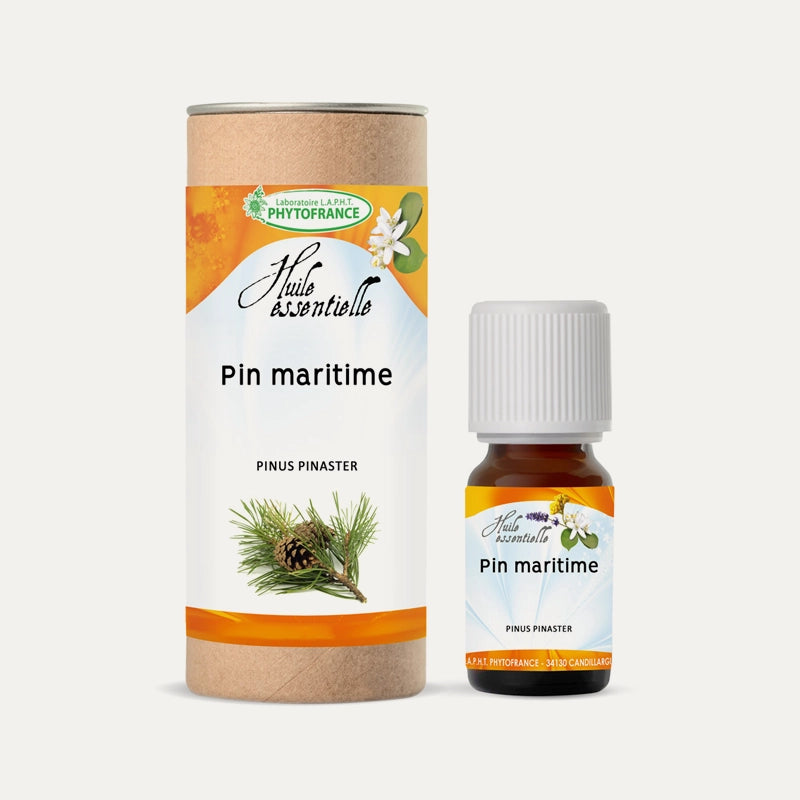 Huile essentielle Pin maritime