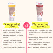 Shampooing Traitant BIO - Propolis, Miel, Argile & Cade
