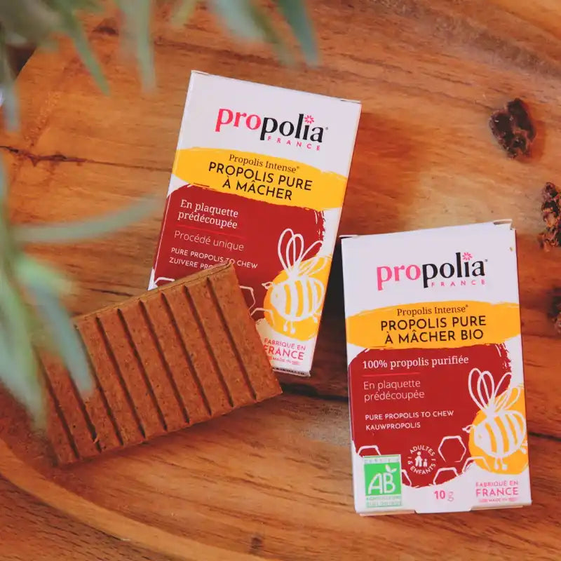 Propolis pure à mâcher BIO