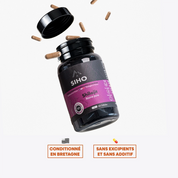 Shilajit Résine Pure (Gélules)