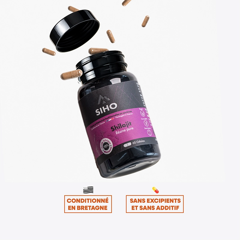 Shilajit Résine Pure (Gélules)