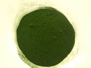 Spiruline BIO - Concentrée en phycocianyne (Poudre)