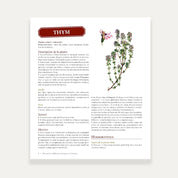 300 plantes médicinales de France et d'ailleurs - Dr Claudine Luu